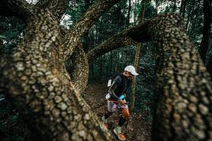 BIB: 
                            <button type="button" onclick="openModal(25393232)" class="btn btn-primary btn-sm float-right btn-popup" data-toggle="modal" data-target=".modal-high-quality">
                        <i class="fas fa-shopping-cart"></i> Add to Cart
                    </button>
                                            <button type="button" onclick="isThisMe(25393232, true)" class="btn btn-success btn-sm float-right btn-popup btn-isme hidden" data-toggle="tooltip" data-placement="bottom" title="นี่คือรูปของคุณใช่ไหม คลิกที่นี่เพื่อเอาเข้าอัลบั้ม">
                        <i class="fas fa-plus"></i> Add to album
                    </button>
                    <button type="button" onclick="isThisMe(25393232, false)" class="btn btn-warning btn-sm float-right btn-popup btn-isnotme hidden">
                        <i class="fas fa-ban"></i> Remove from album
                    </button>